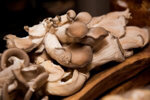 avery albino mushrooms