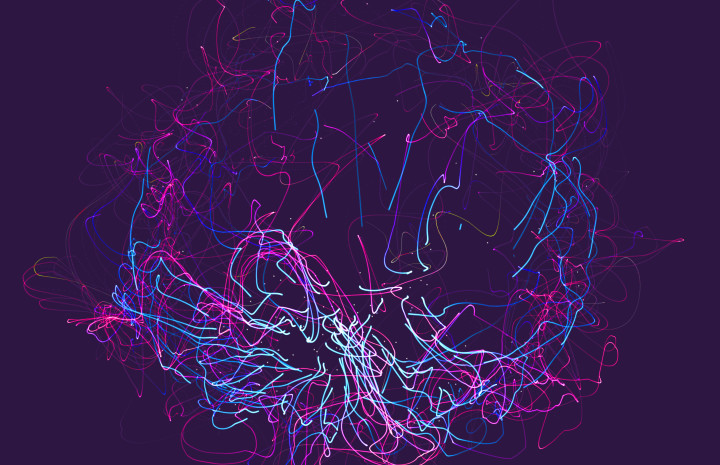 Psilocybin Effects on the Brain