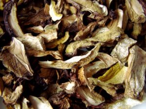 Dried Magic Mushrooms